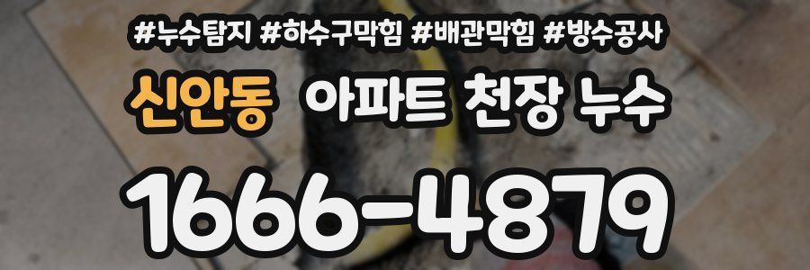 신안동 아파트 천장 누수