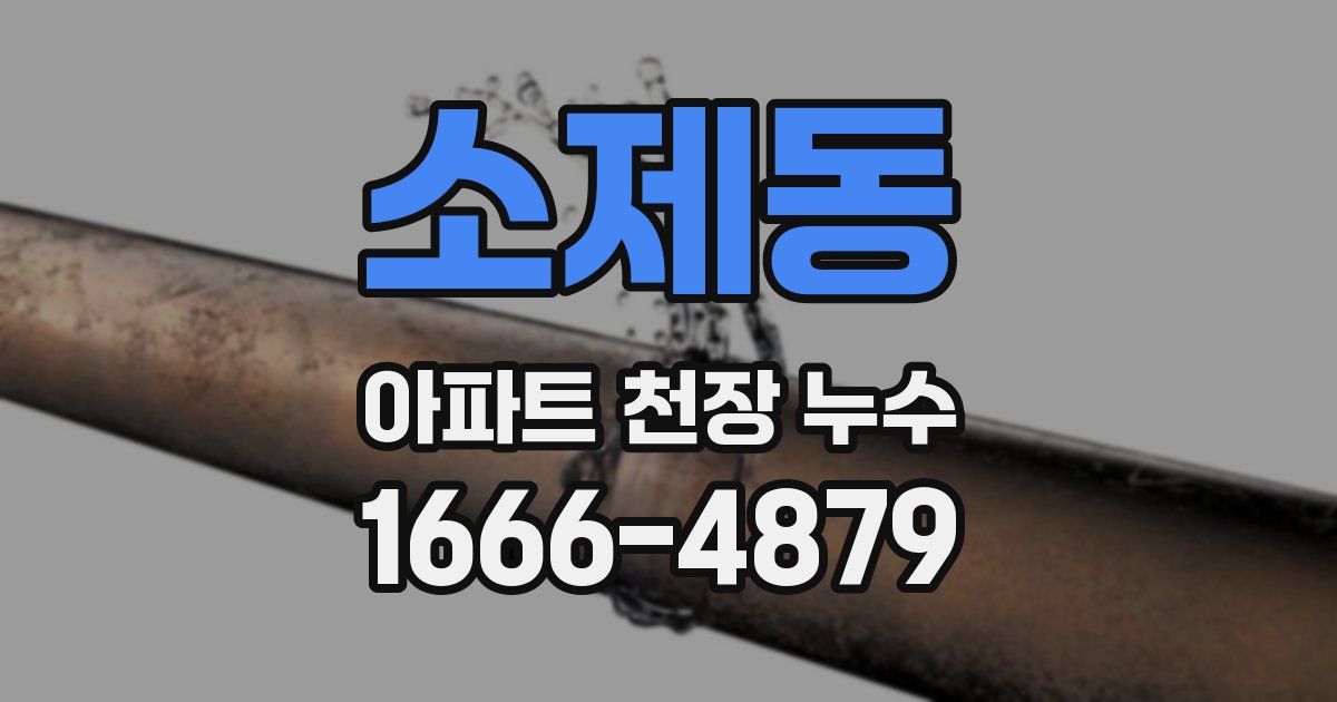 소제동 아파트 천장 누수