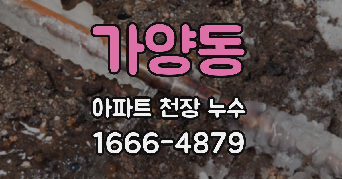 가양동 아파트 천장 누수