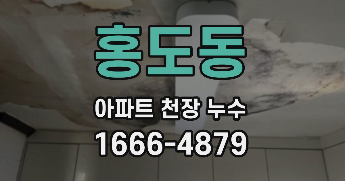 홍도동 아파트 천장 누수