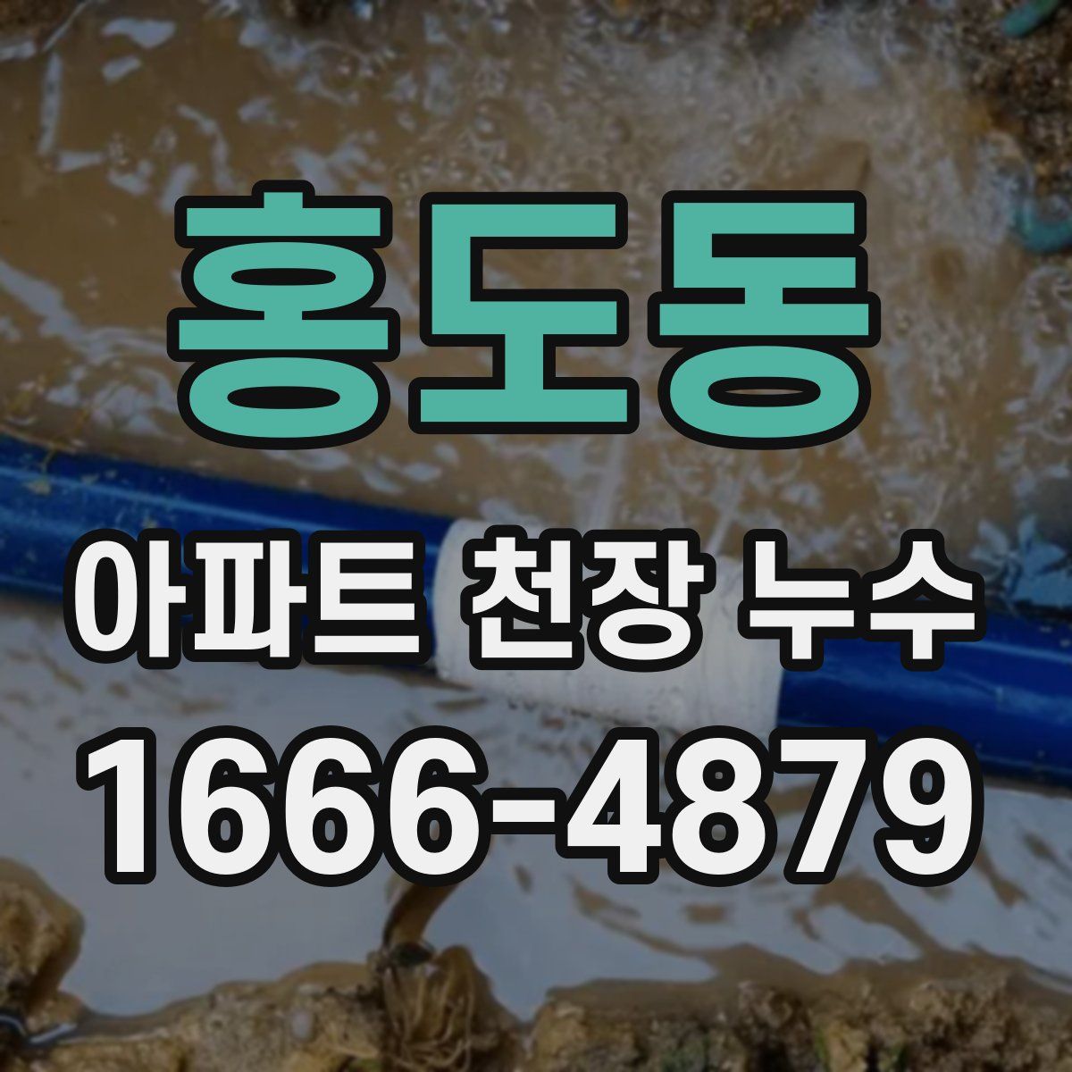 홍도동 아파트 천장 누수