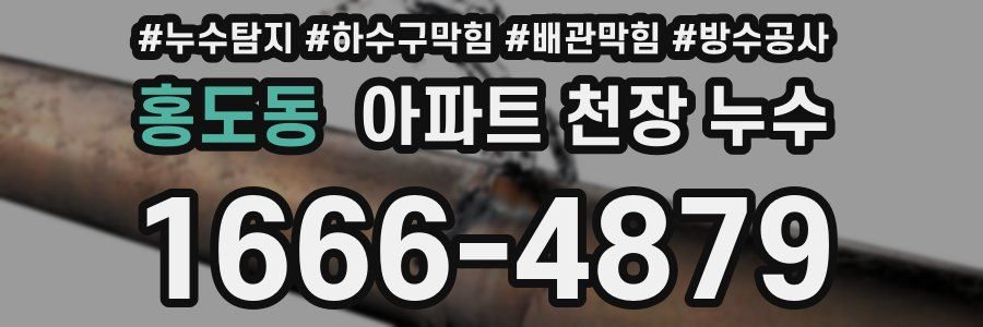 홍도동 아파트 천장 누수