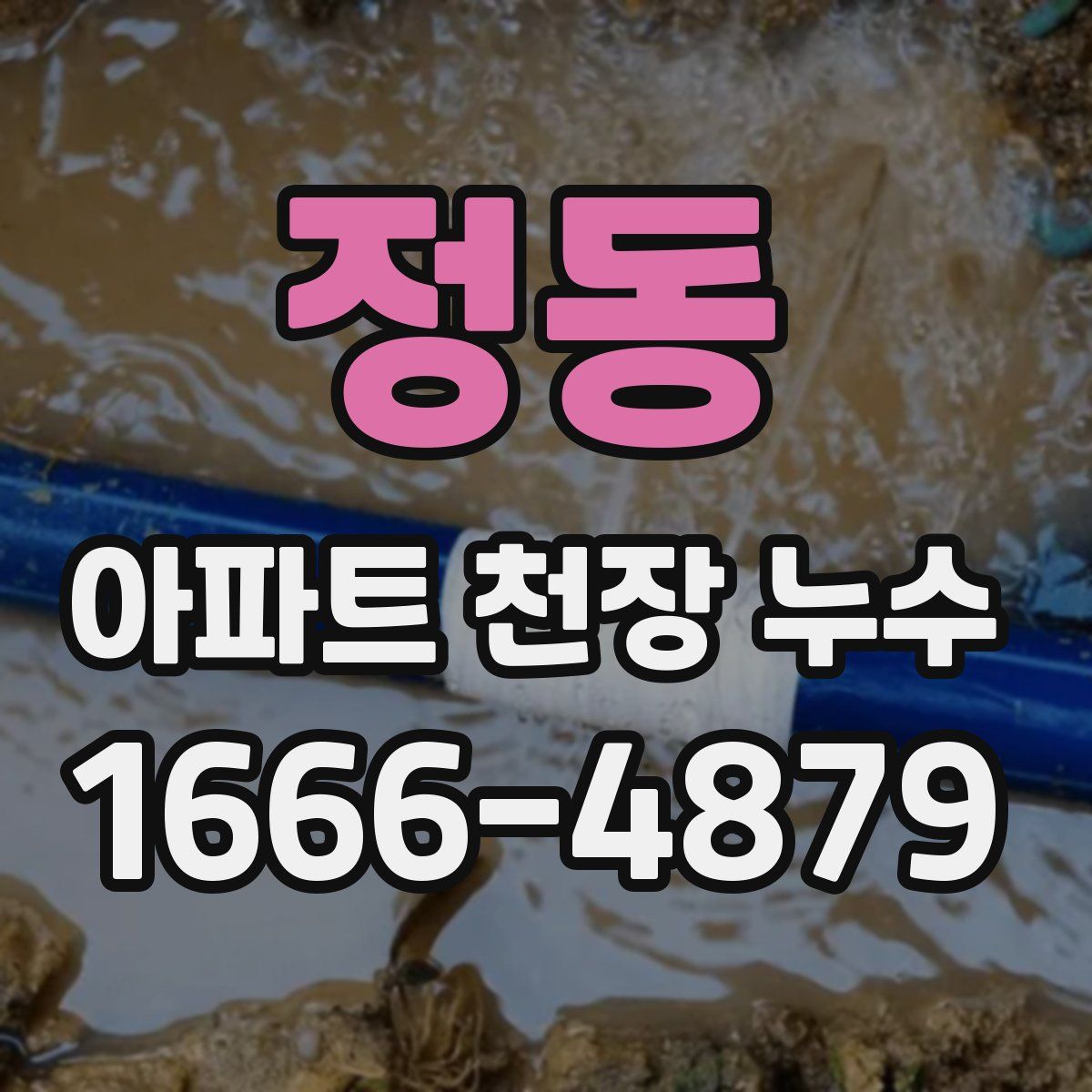 정동 아파트 천장 누수