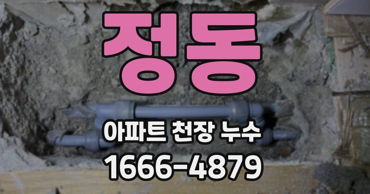 정동 아파트 천장 누수