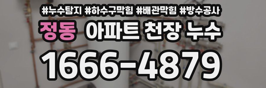 정동 아파트 천장 누수