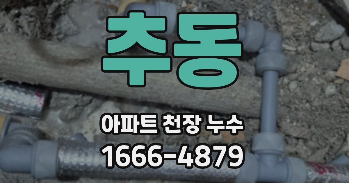 추동 아파트 천장 누수