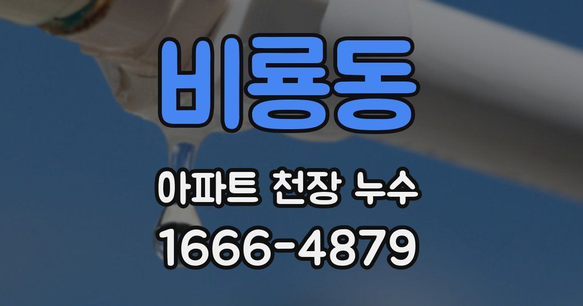 비룡동 아파트 천장 누수