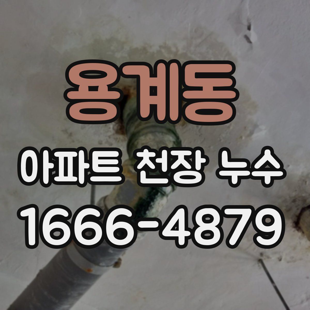 용계동 아파트 천장 누수