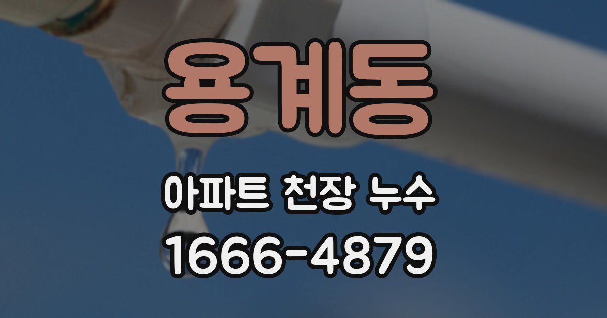 용계동 아파트 천장 누수