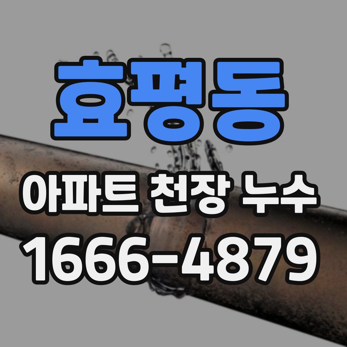 효평동 아파트 천장 누수