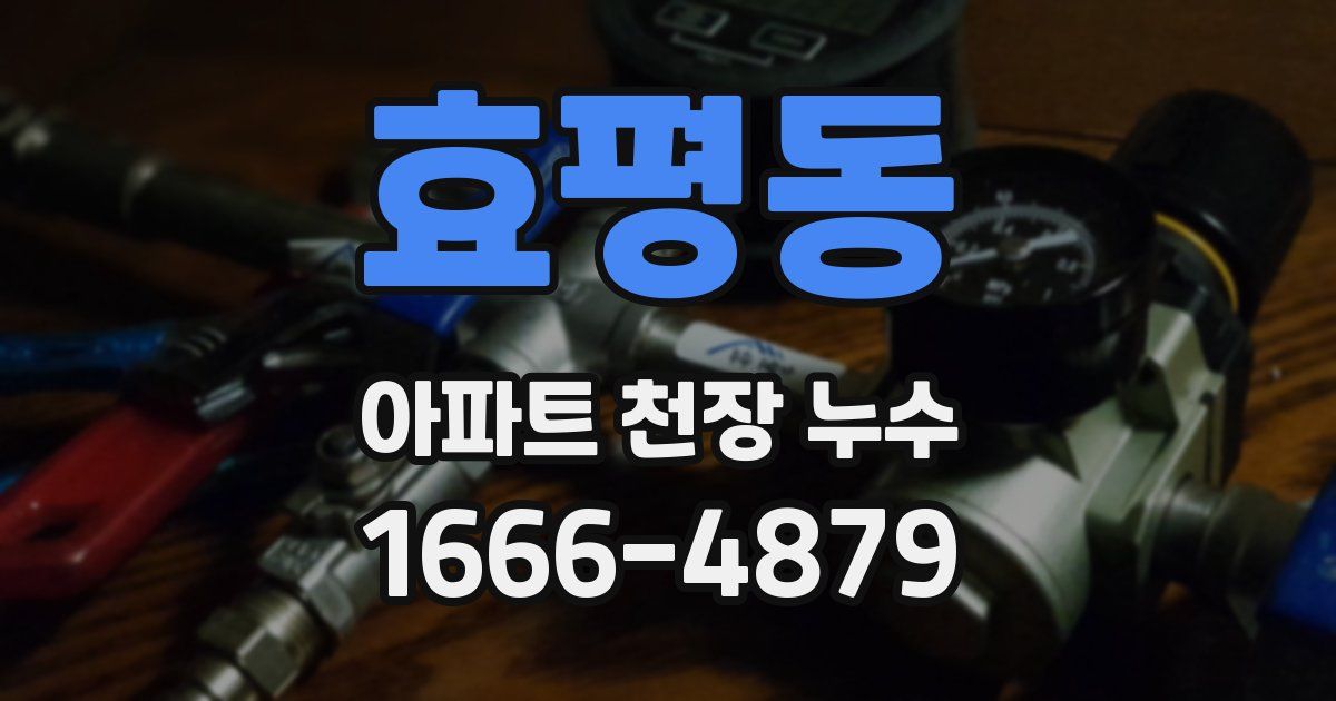 효평동 아파트 천장 누수