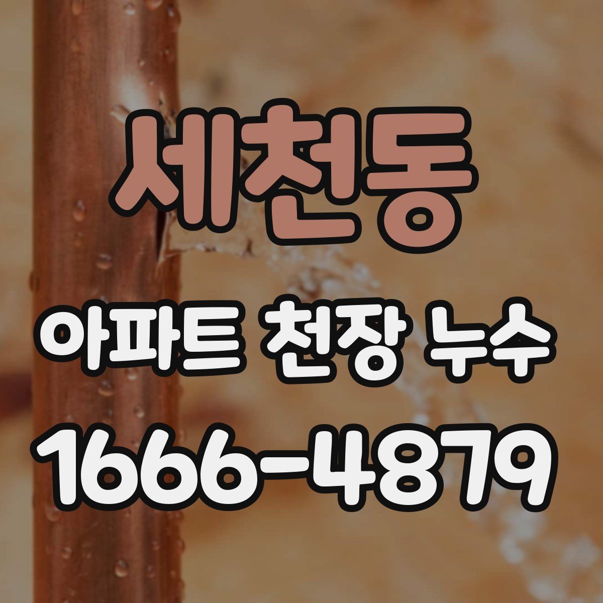 세천동 아파트 천장 누수