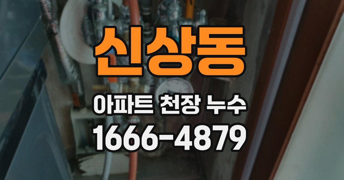 신상동 아파트 천장 누수