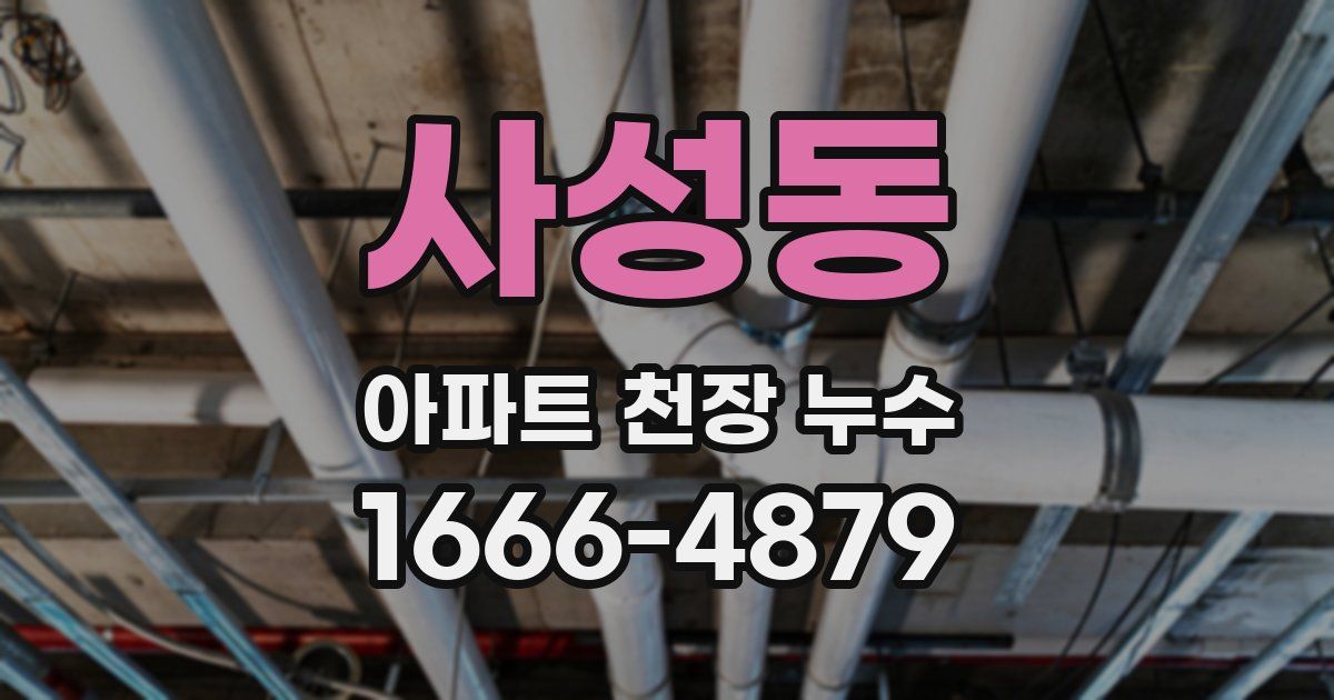 사성동 아파트 천장 누수