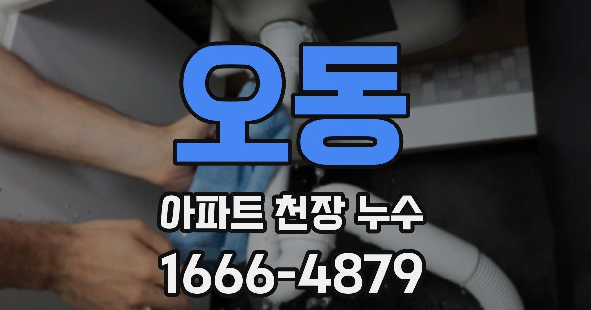 오동 아파트 천장 누수