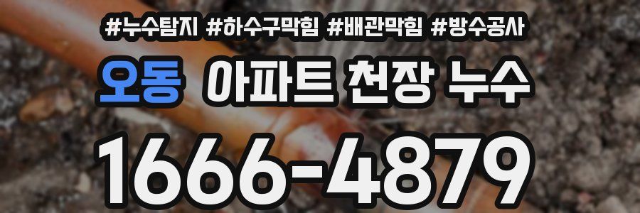 오동 아파트 천장 누수