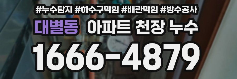 대별동 아파트 천장 누수