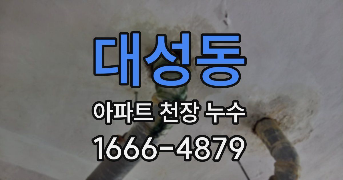 대성동 아파트 천장 누수