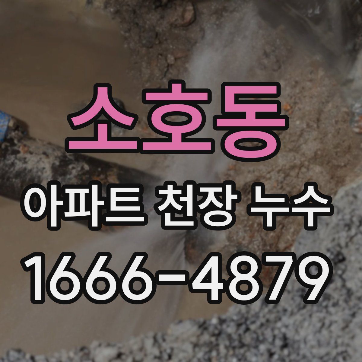 소호동 아파트 천장 누수