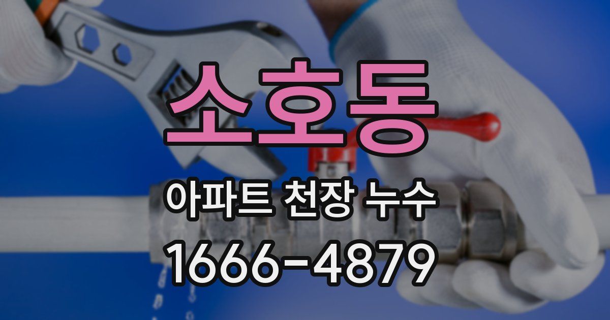 소호동 아파트 천장 누수