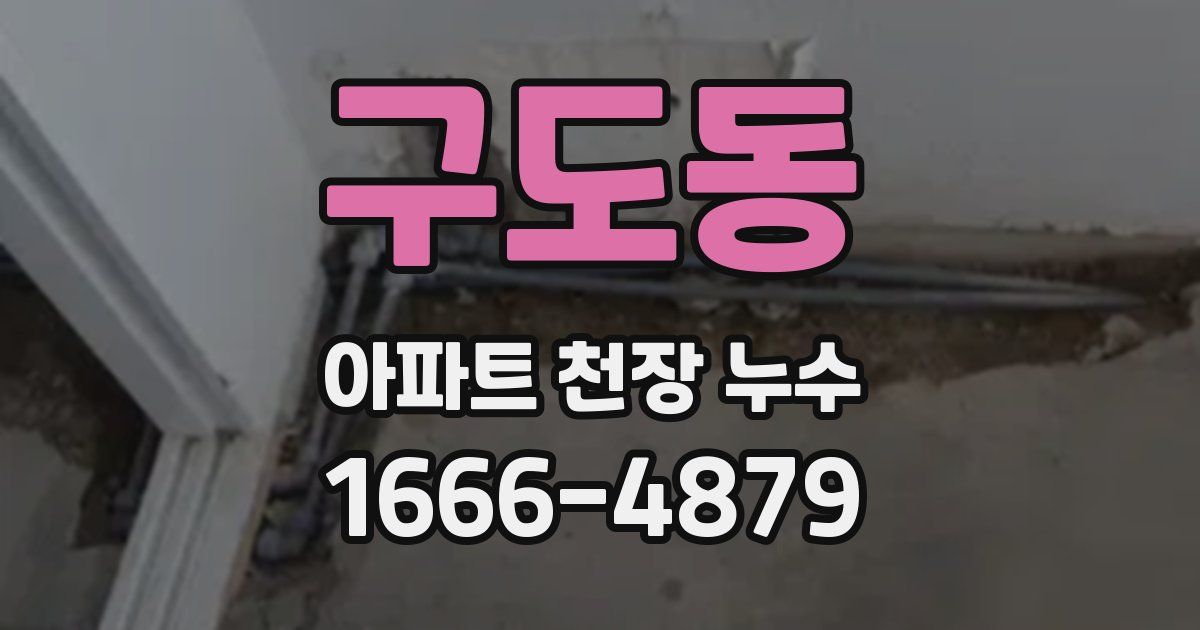 구도동 아파트 천장 누수