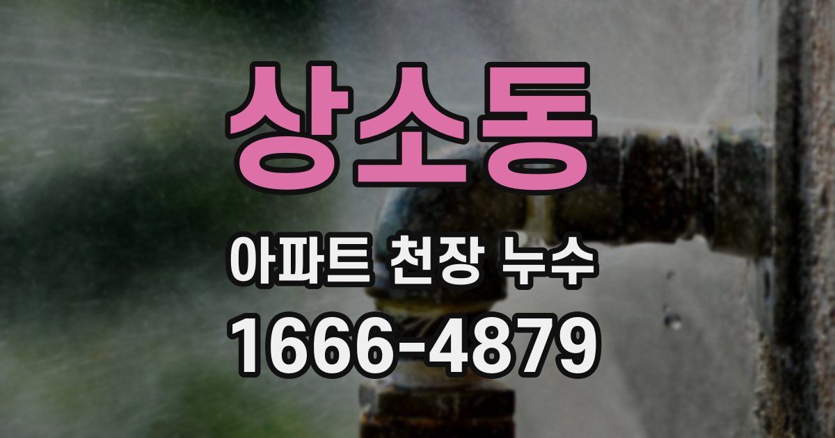 상소동 아파트 천장 누수