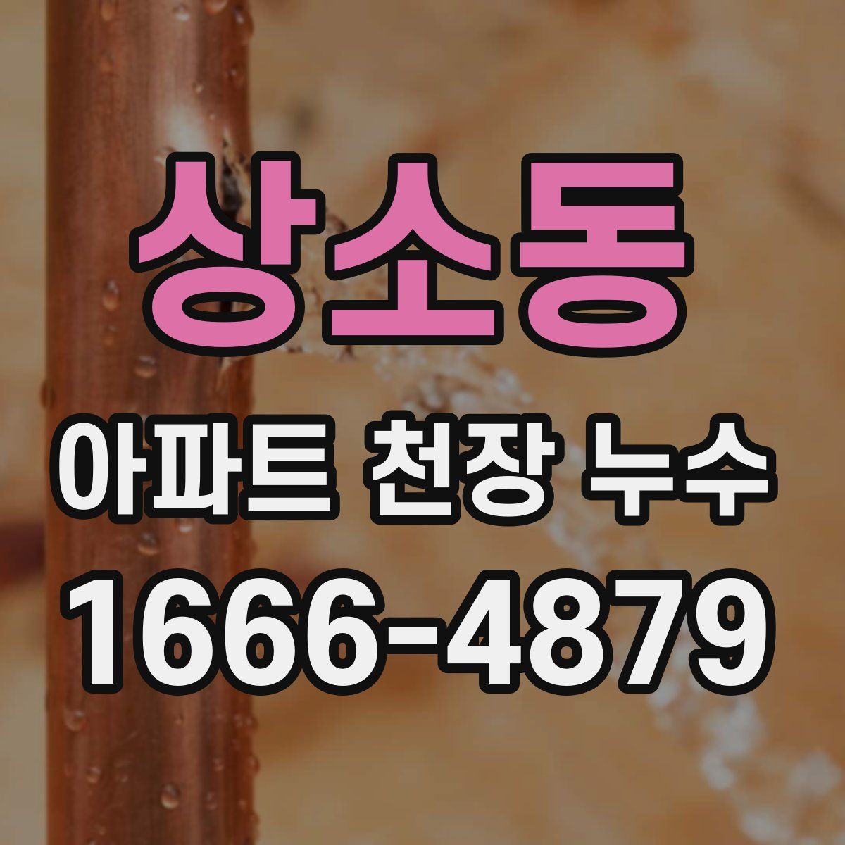 상소동 아파트 천장 누수