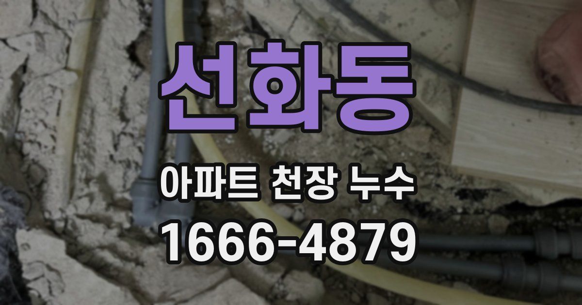 선화동 아파트 천장 누수