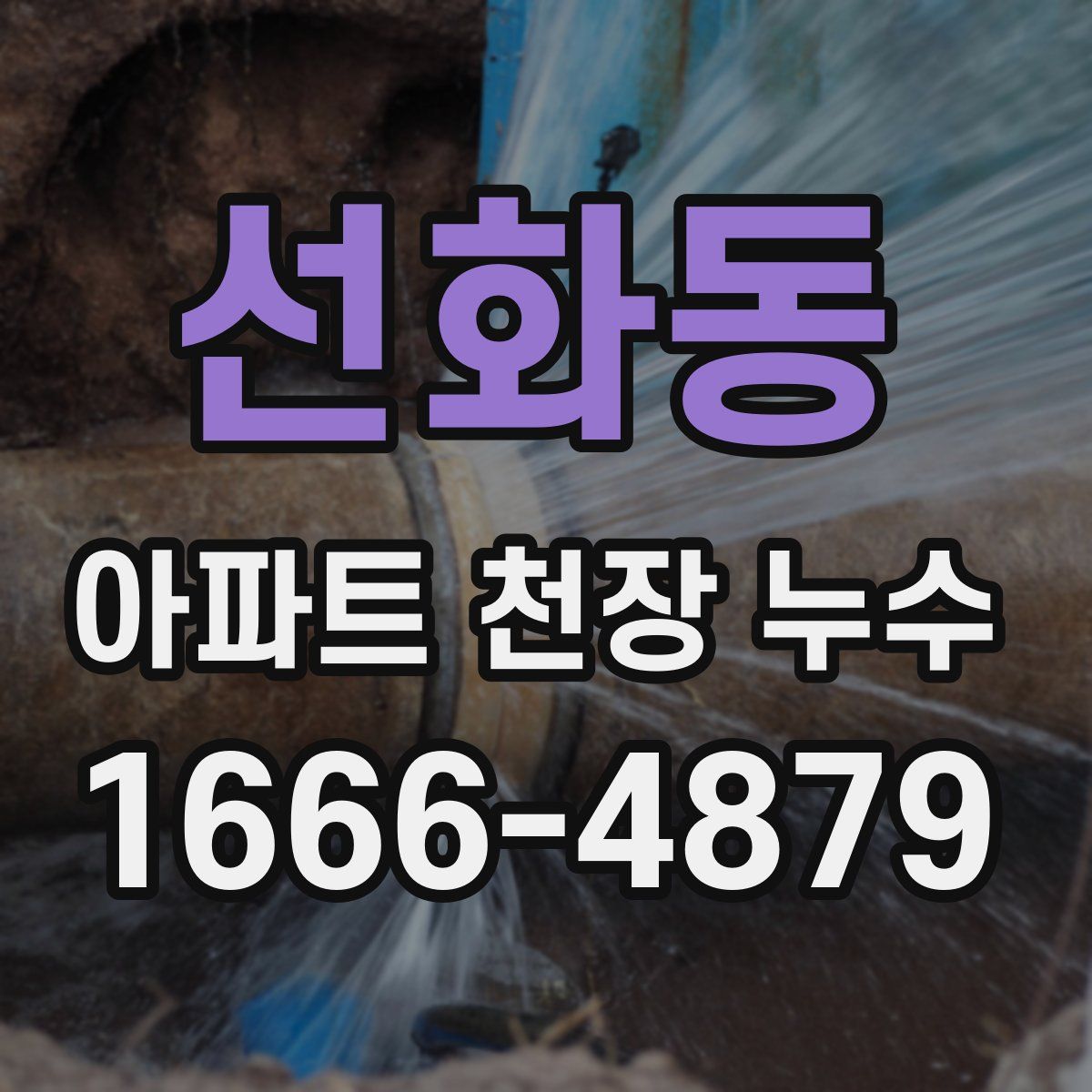 선화동 아파트 천장 누수