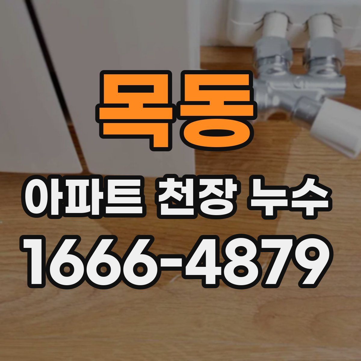 목동 아파트 천장 누수