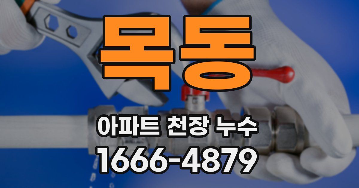 목동 아파트 천장 누수