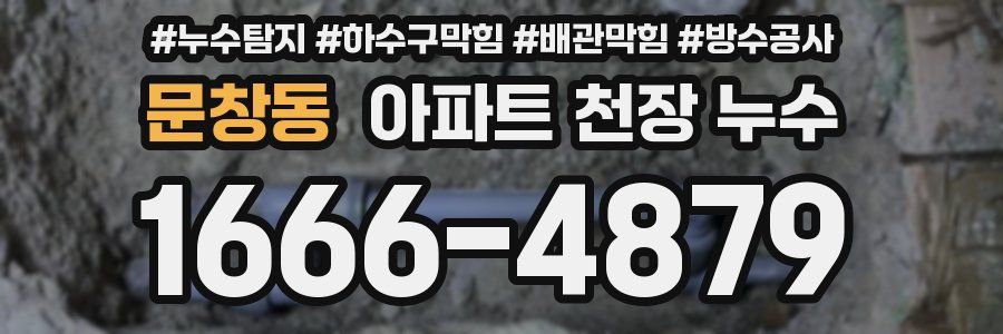 문창동 아파트 천장 누수