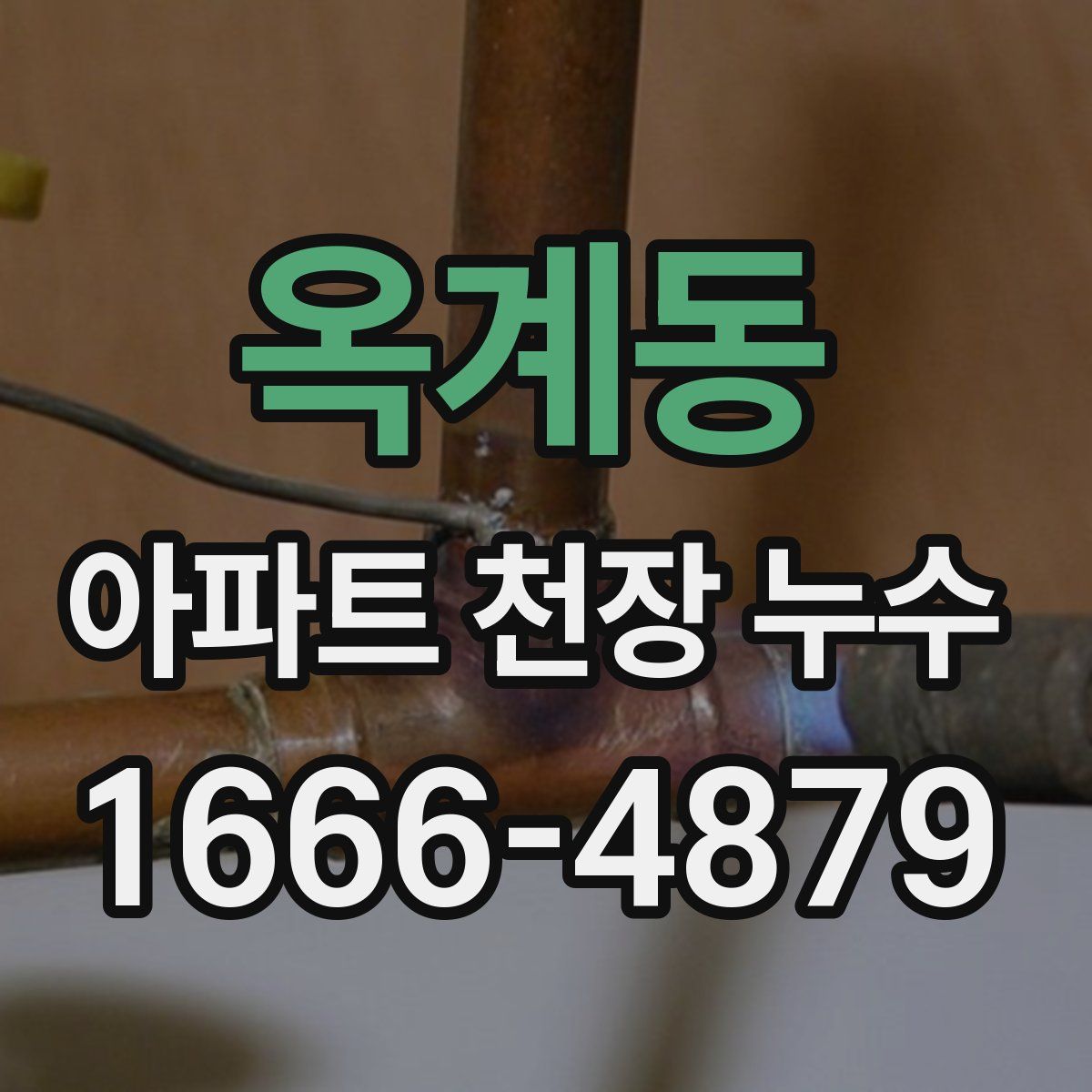 옥계동 아파트 천장 누수