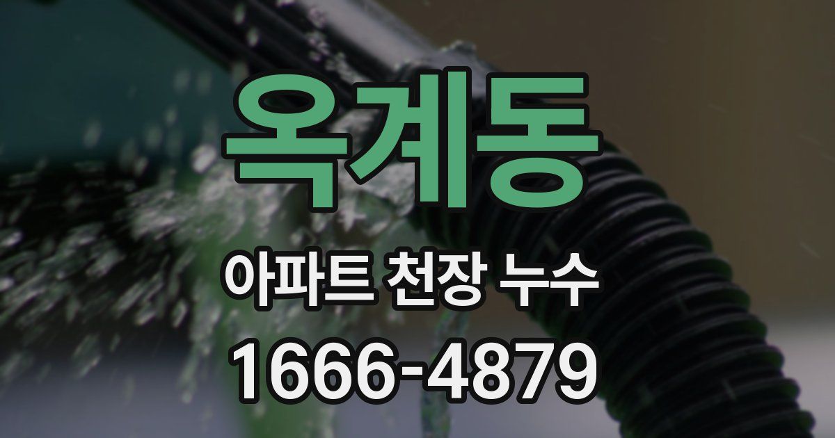 옥계동 아파트 천장 누수