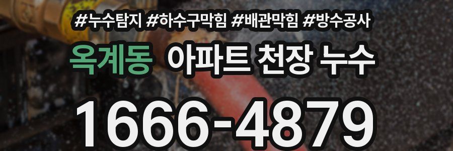 옥계동 아파트 천장 누수
