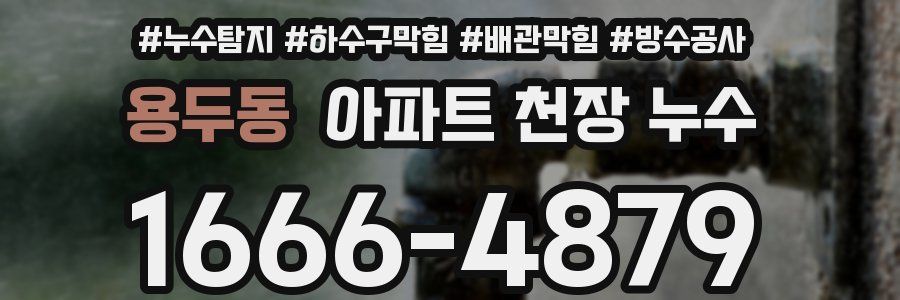 용두동 아파트 천장 누수