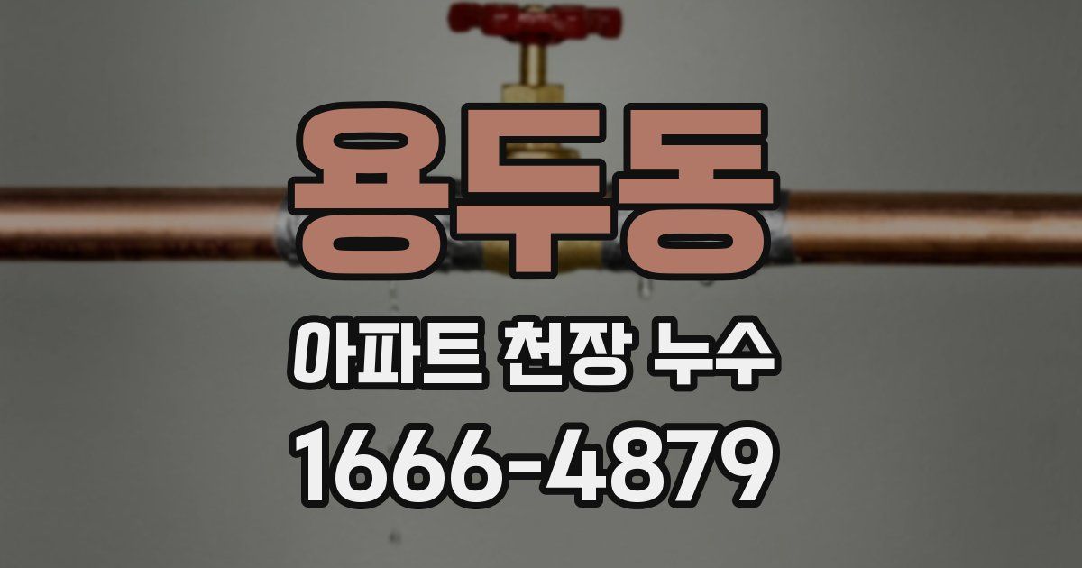 용두동 아파트 천장 누수