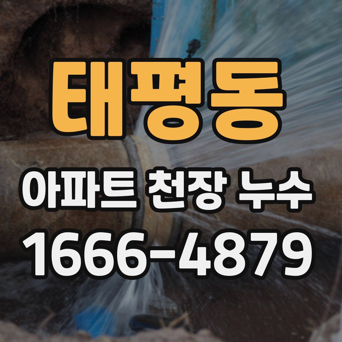 태평동 아파트 천장 누수