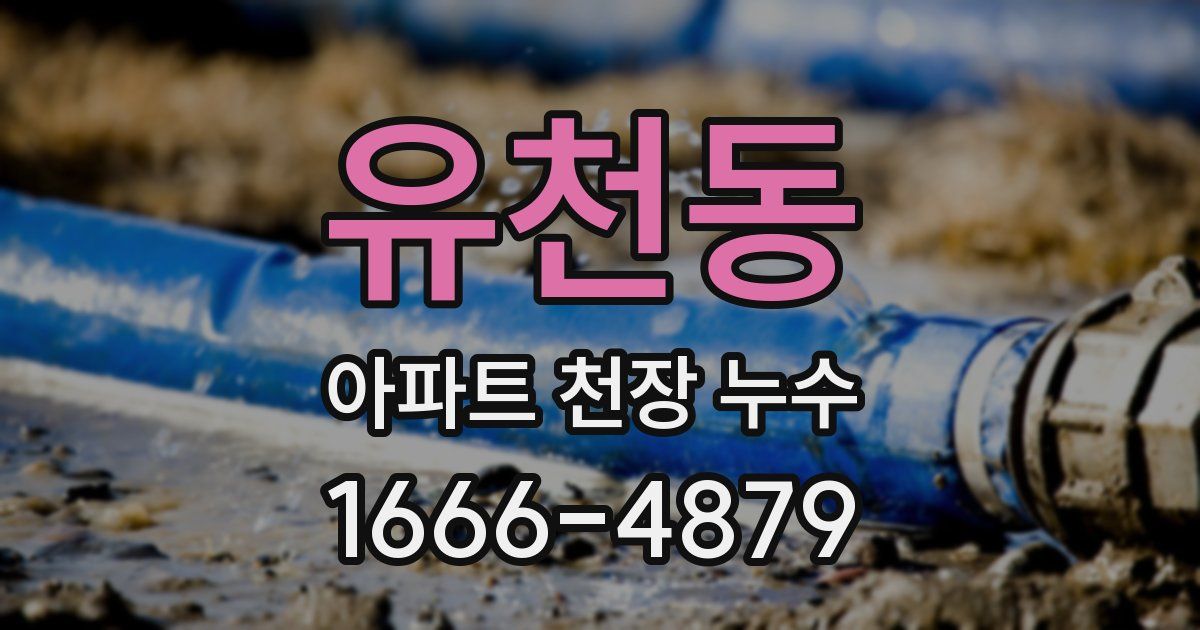 유천동 아파트 천장 누수