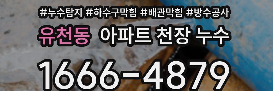 유천동 아파트 천장 누수