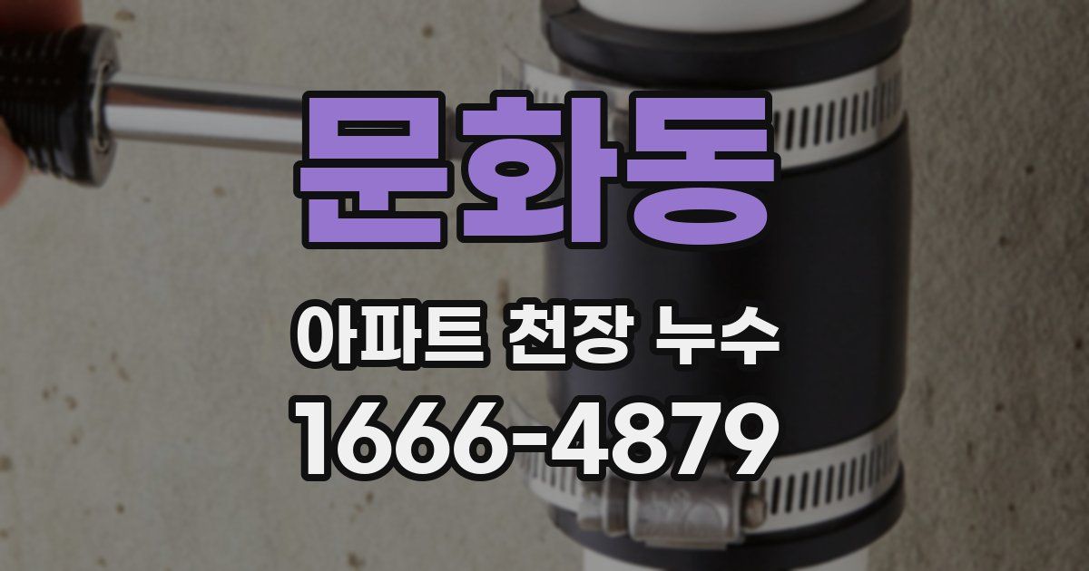 문화동 아파트 천장 누수