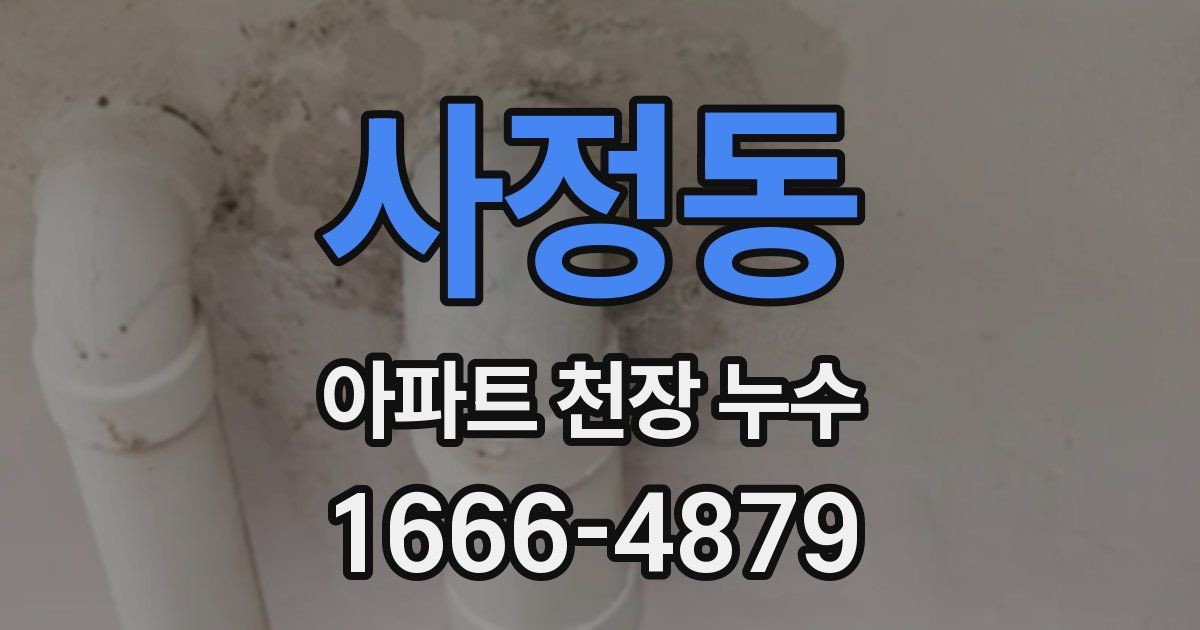 사정동 아파트 천장 누수