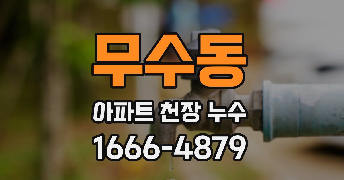 무수동 아파트 천장 누수