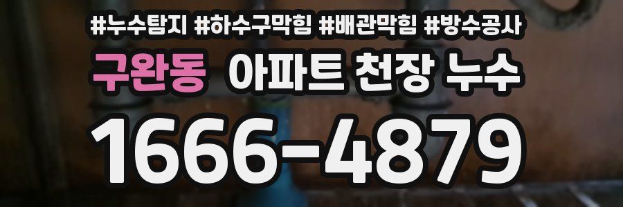 구완동 아파트 천장 누수