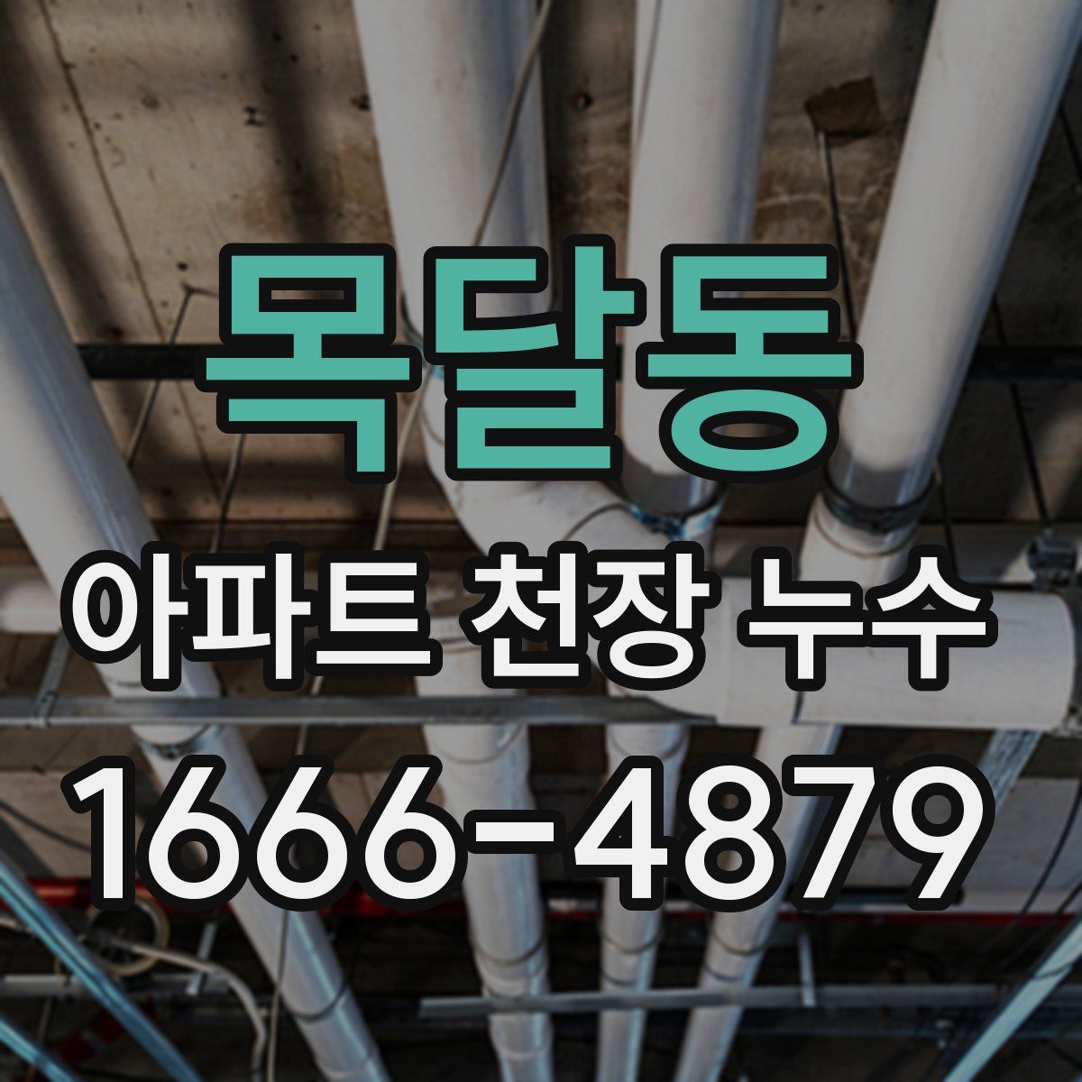 목달동 아파트 천장 누수