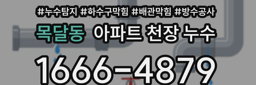 목달동 아파트 천장 누수