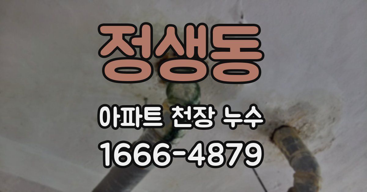 정생동 아파트 천장 누수