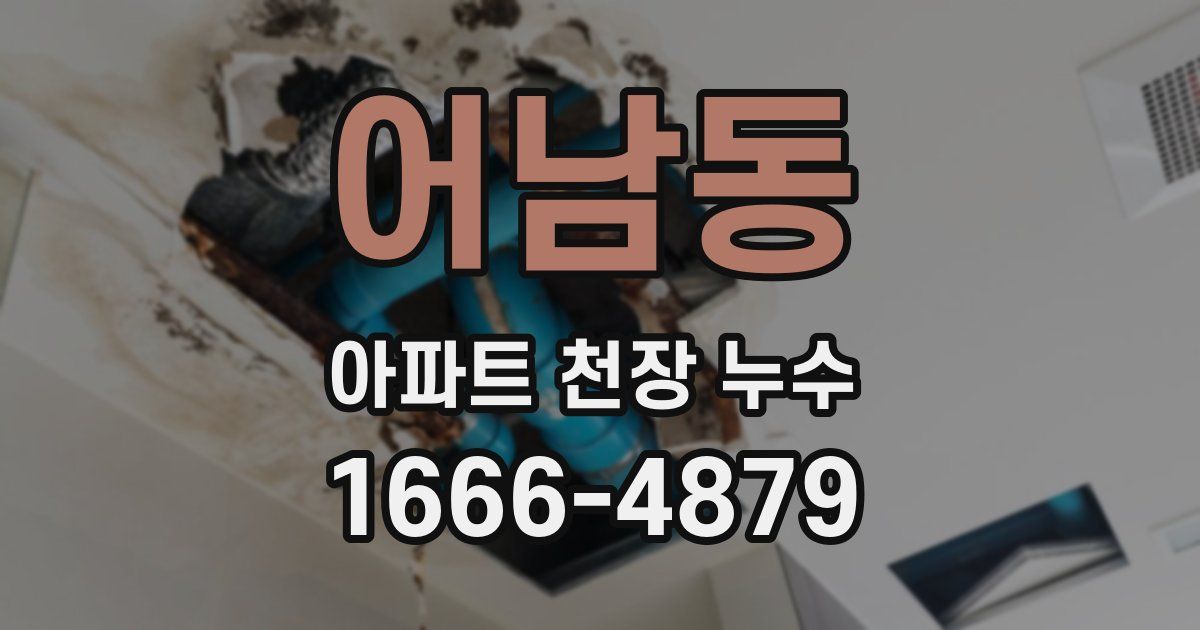 어남동 아파트 천장 누수