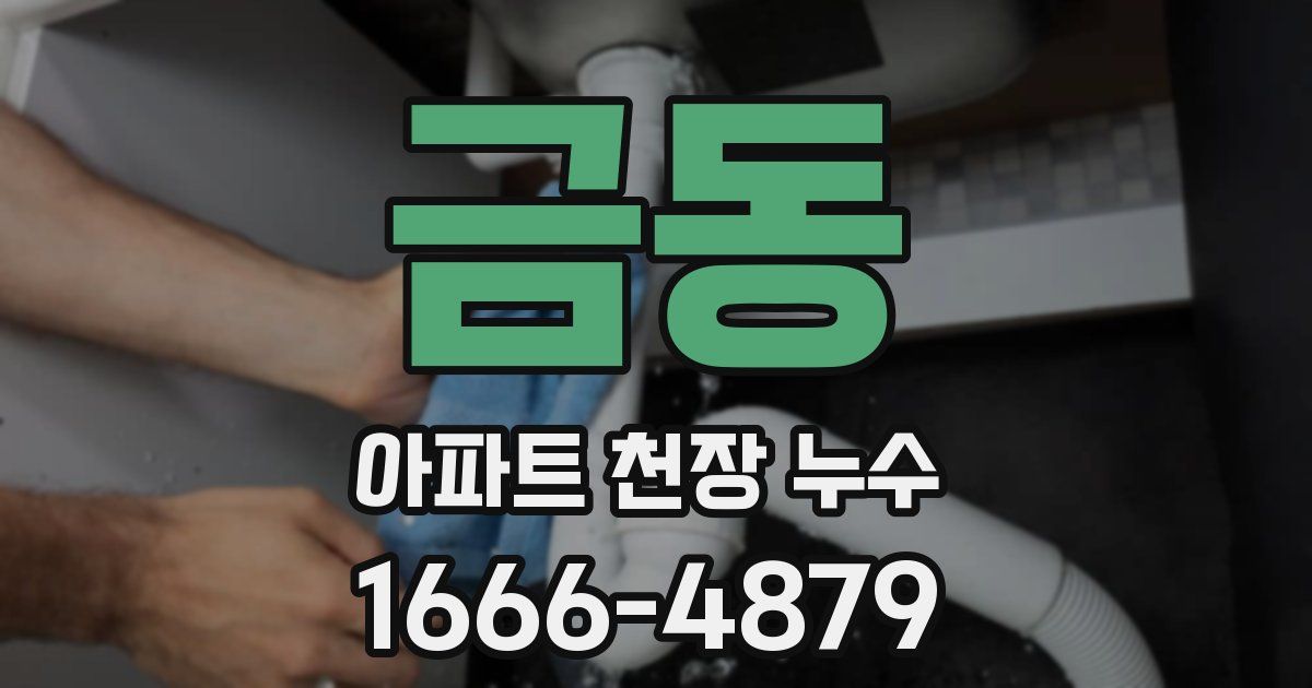 금동 아파트 천장 누수