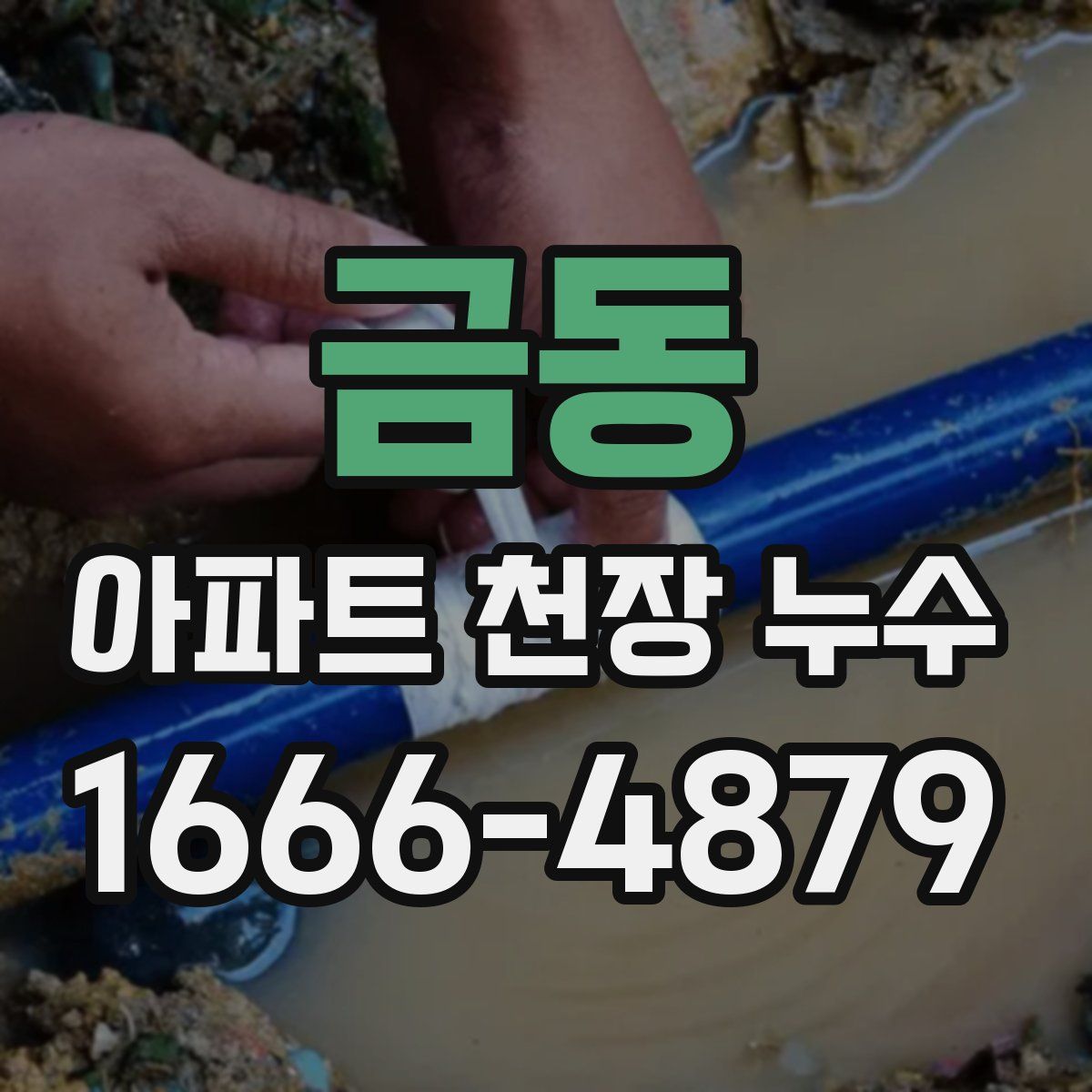 금동 아파트 천장 누수